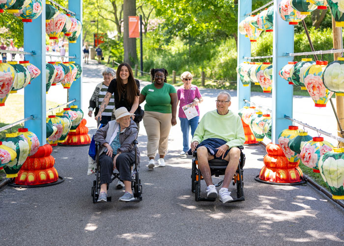 Elderly residents in wheelchairs and caregivers enjoying a colorful outdoor path decorated with lanterns at a zoo on a sunny day.